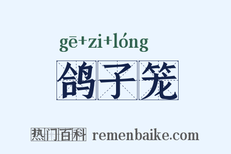 鸽子笼是什么意思的图片